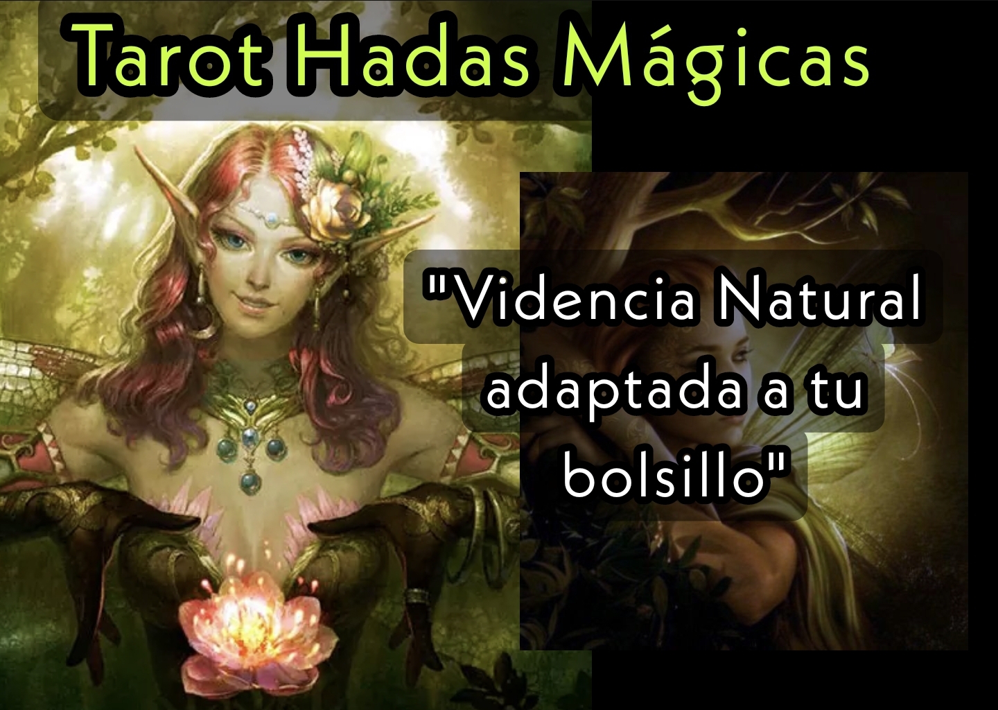 Tarot y Videncia de las Hadas